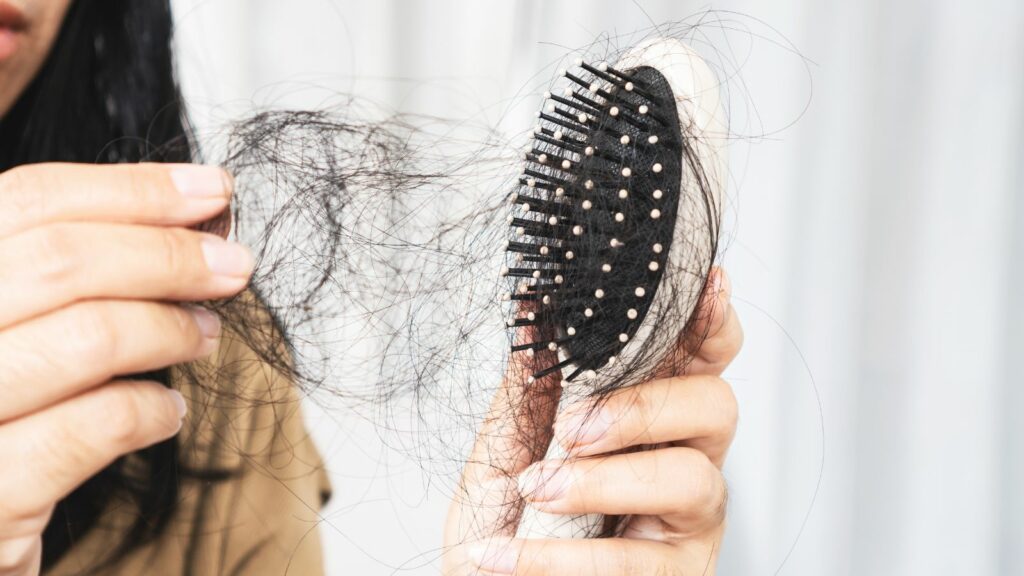 Hairs on a comb of a woman.